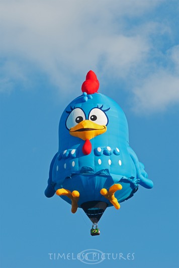 Lottie-Dottie-Chicken