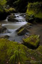Lower-Schiessentümpel-