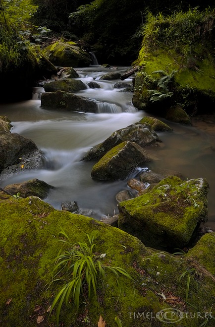 Lower-Schiessentümpel-