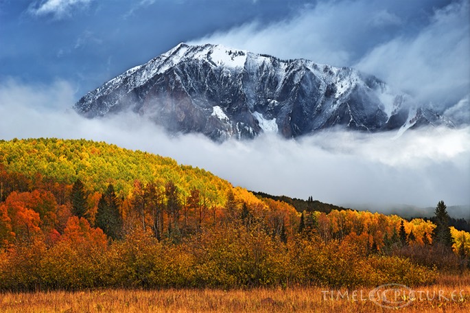 Marcellina-Moutain