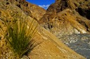 Mosaik-Canyon