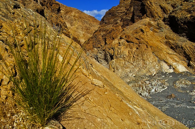 Mosaik-Canyon