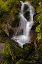 Mossy-Falls