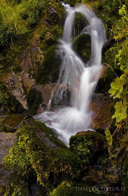 Mossy-Falls