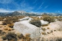 Mt.-Whitney