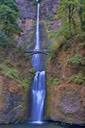 Oregon