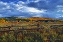 National-Elk-Refuge