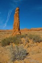 Native-Rocket