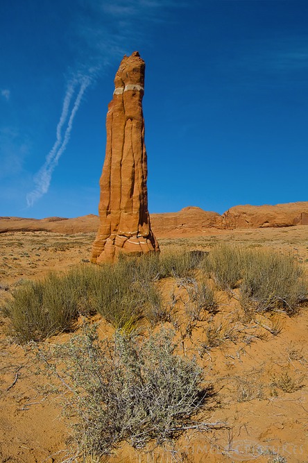 Native-Rocket