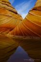 Nature-X
