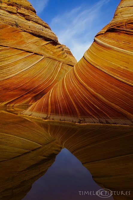 Nature-X