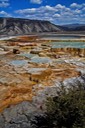 Yellowstone NP