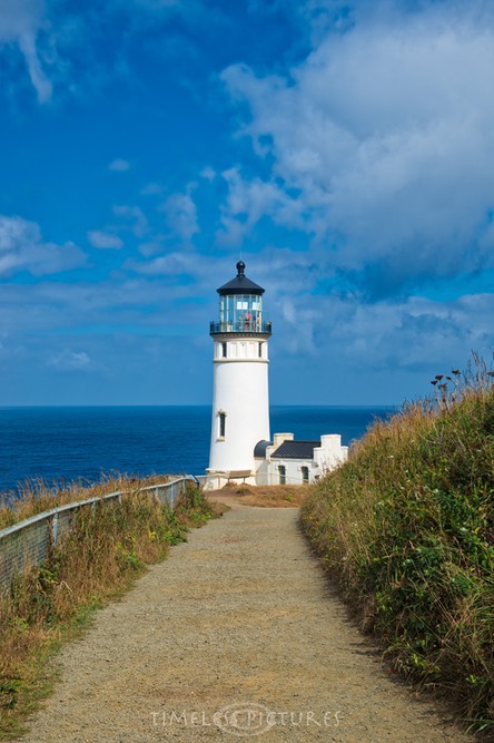 Northern-Head-Light