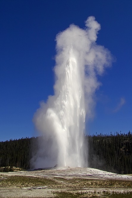 Old-Faithful-3