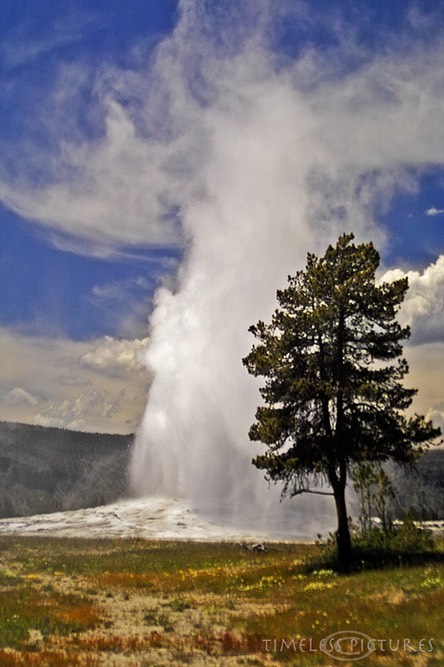 Old-Faithful-