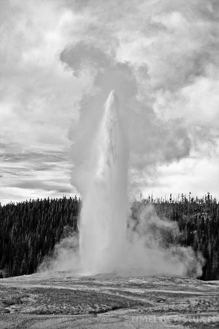 Old-Faithful-BW