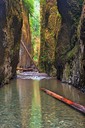Oneonta-Gorge-1