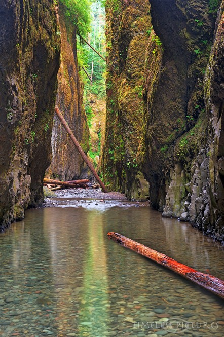 Oneonta-Gorge-1
