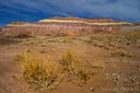 Painted-Desert