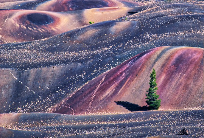 Painted-Dunes