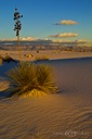 Painted-Dunes