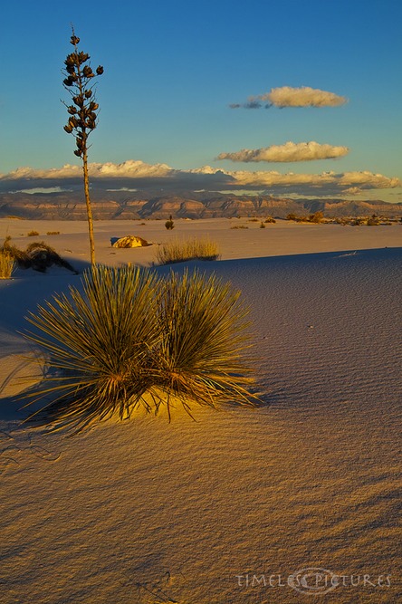 Painted-Dunes