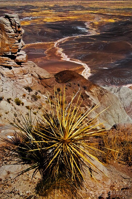 Painted-Rocks-II