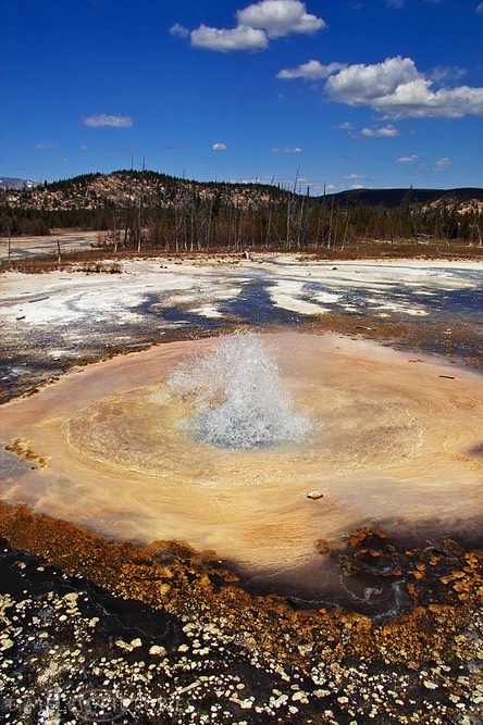 Pearl-Geyser