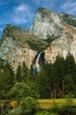 Yosemite NP