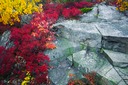 Rooks-meets-colors-