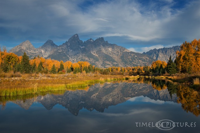 Schwabacher
