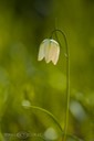 SDIM0698
