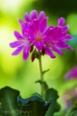 SDIM9746