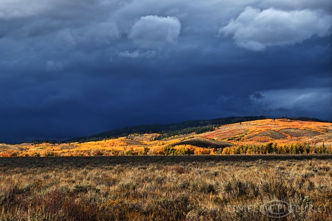 Shadow-Mountain-II