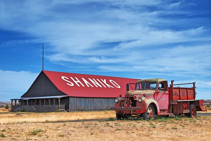 Shaniko--dodge-fire-truck-1947