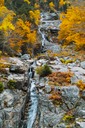 Silver-Cascades