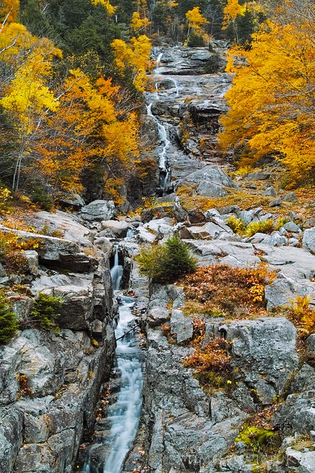 Silver-Cascades