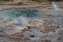 Spasmodic-Geyser