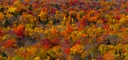 Spirit-of-Fall