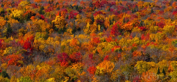 Spirit-of-Fall