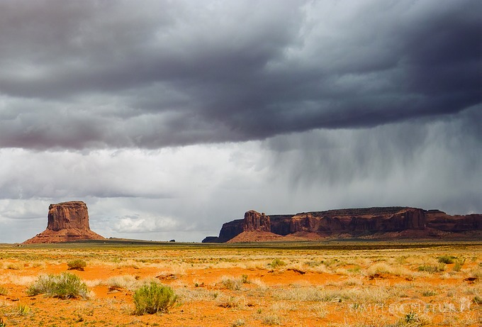 Stormy-mittens