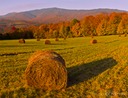 Sunrise-Bragg-Hill-Road