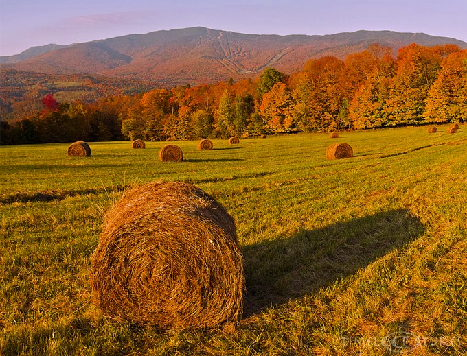 Sunrise-Bragg-Hill-Road