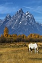Teton-Range-II
