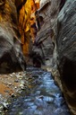 The-Flow