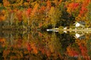 New Hampshire