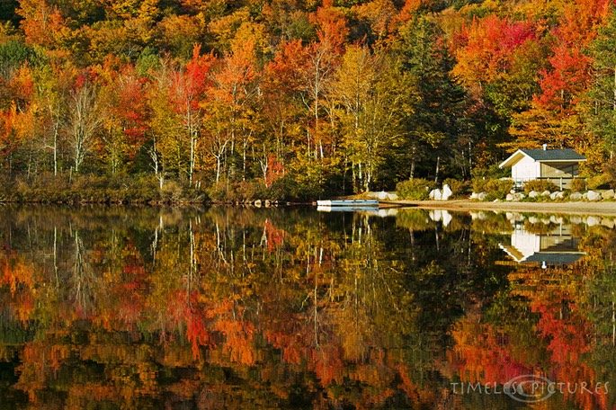 The-Lake-House