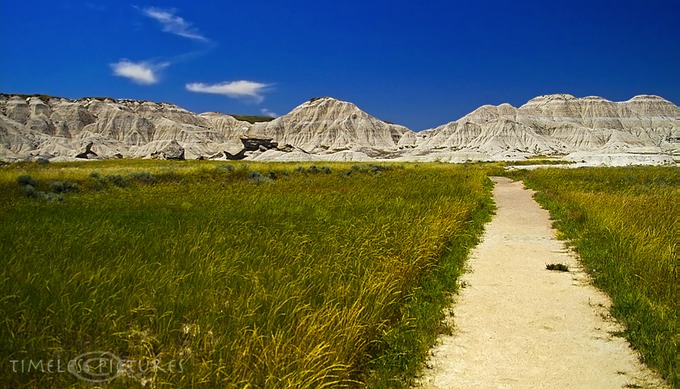 The-Way-II