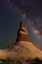 Toadstool-by-night-2