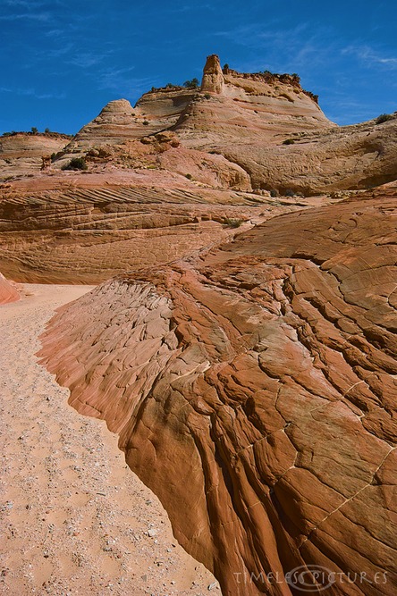 Top-of-bighorn